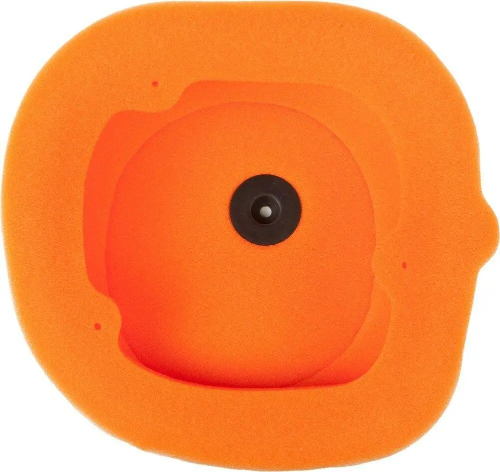 Twin Air - 154114 - Air Filter 1