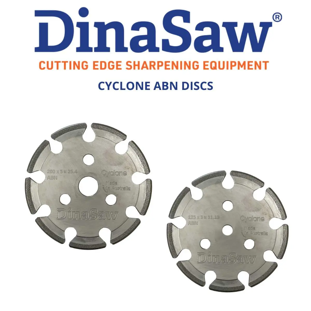 Dinasaw®  Abn Sharpening Discs 1