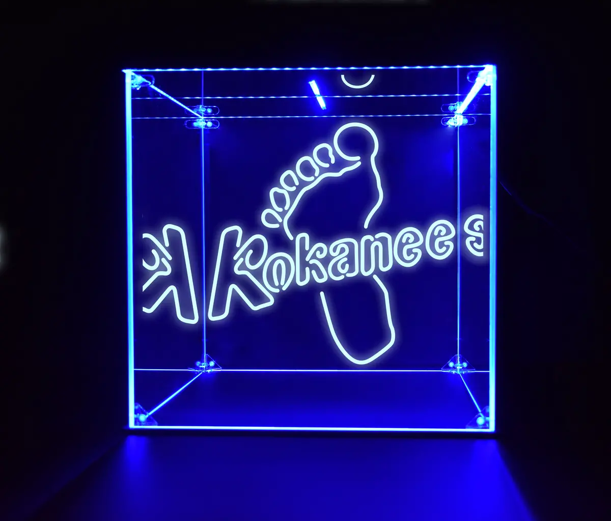 Wine, Champagne, Liquor, Beverage Bottle Led Display Case, Kokanee Foot Collection 1