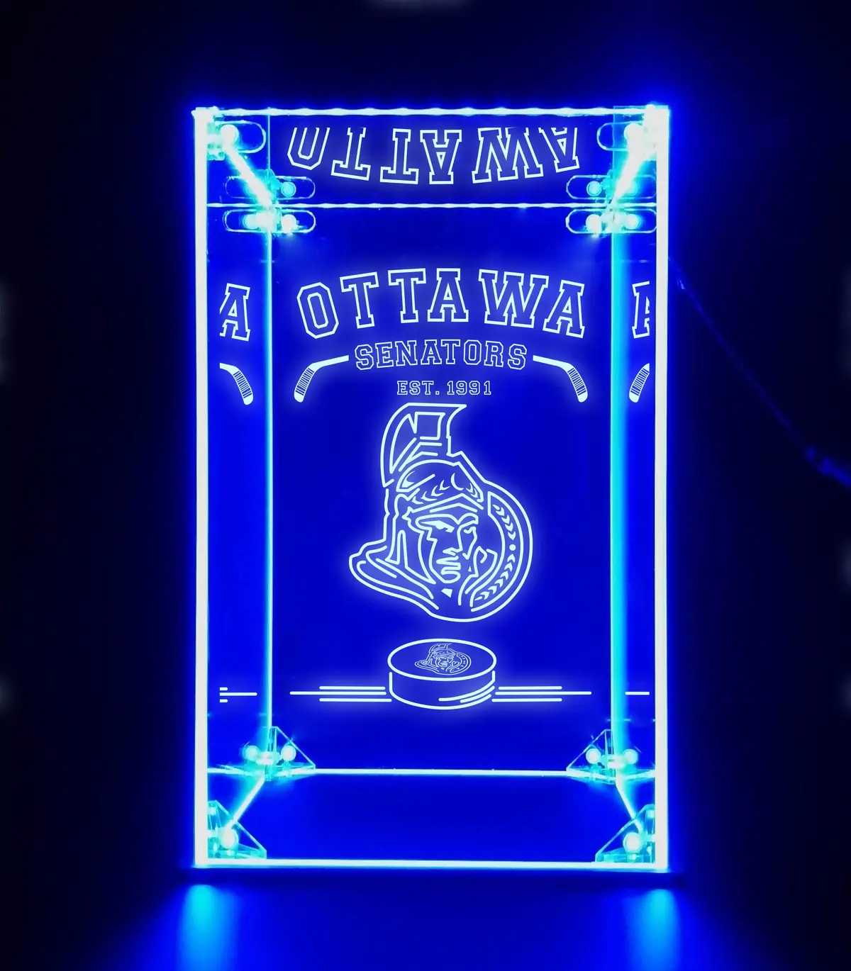 Led Display Case For Ottawa Senators Sports Memorabilia 1