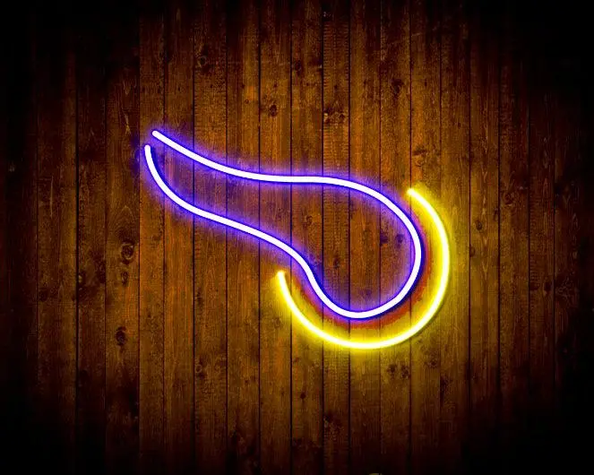 Minnesota Vikings Neon-Like Flex Led Sign 2