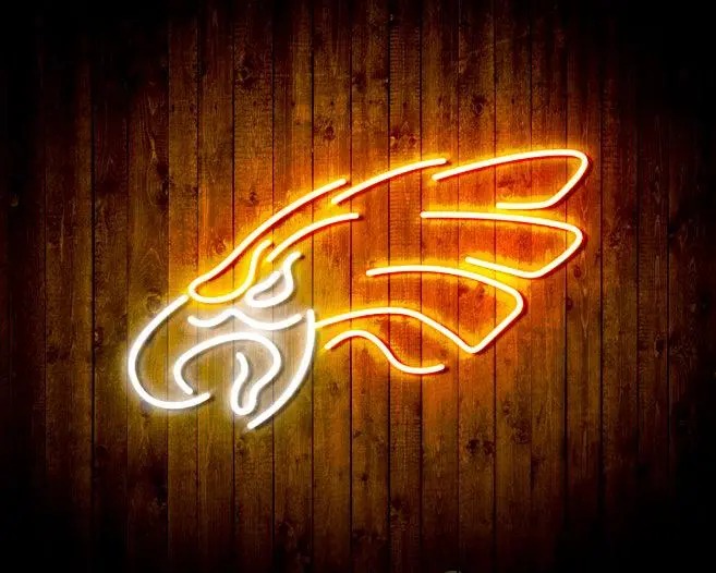 Philadelphia Eagles Flex Neon Sign - 16 Colors 2