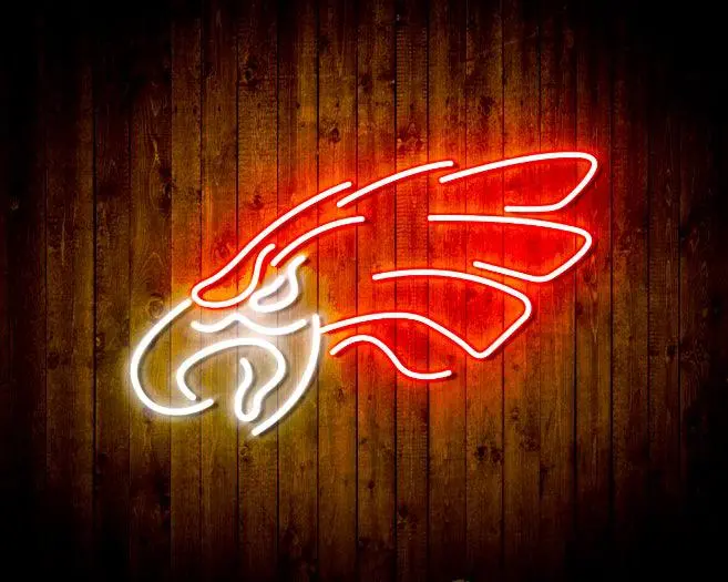 Philadelphia Eagles Flex Neon Sign - 16 Colors 4