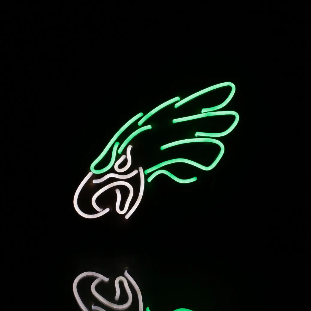 Philadelphia Eagles Flex Neon Sign - 16 Colors 4