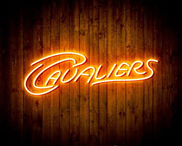 Cleveland Cavaliers Handmade Neon Flex Led Sign 4