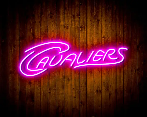 Cleveland Cavaliers Handmade Neon Flex Led Sign 6