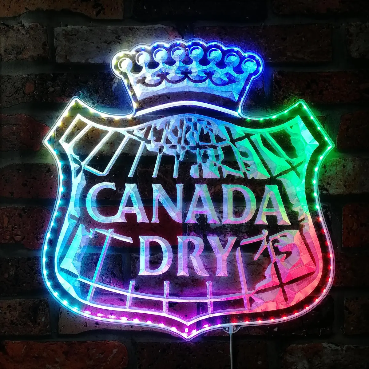 Canada Dry Neon Led Sign With Dynamic Rgb Colors 1