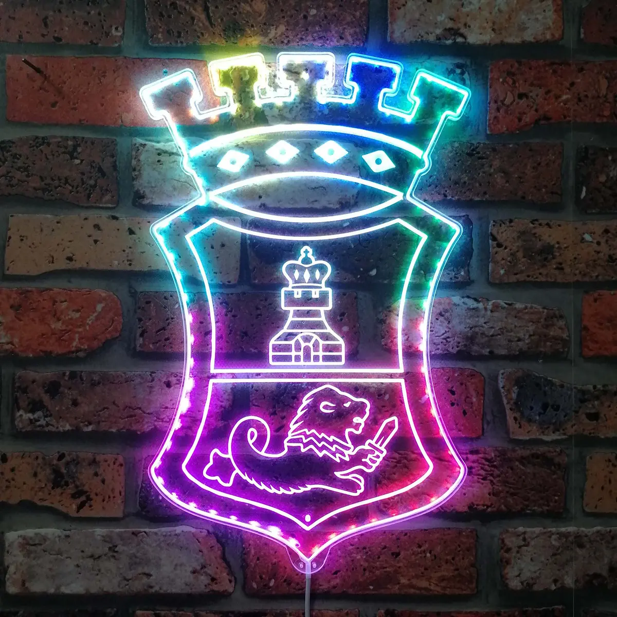 San Miguel Neon Led Sign With Dynamic Rgb Colors 1