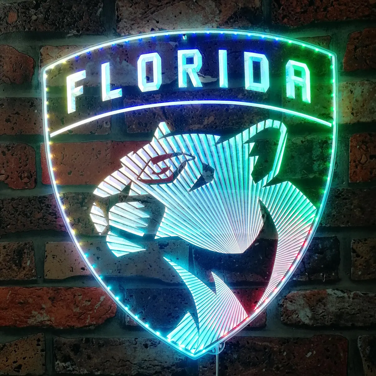 Florida Panthers Neon Led Sign With Dynamic Rgb Colors 1