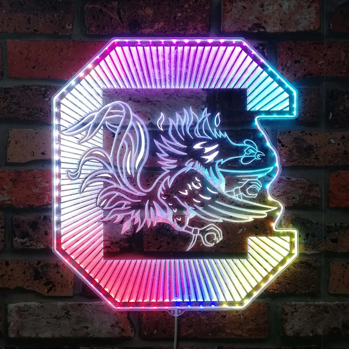 South Carolina Gamecocks Neon Led Sign With Dynamic Rgb Colors 1