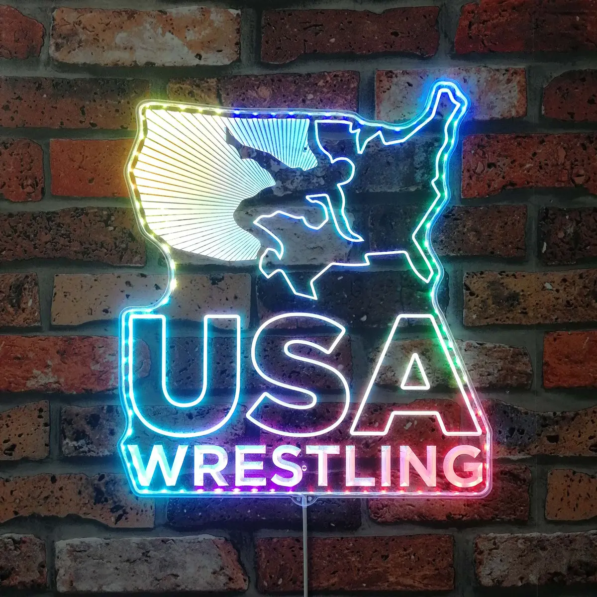 Usa Wrestling Neon Neon Led Sign With Dynamic Rgb Colors 1