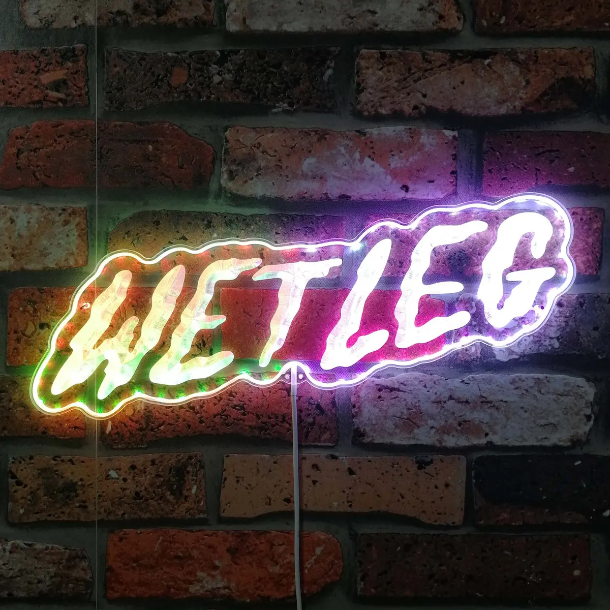Wetleg Neon Led Sign With Dynamic Rgb Colors 1