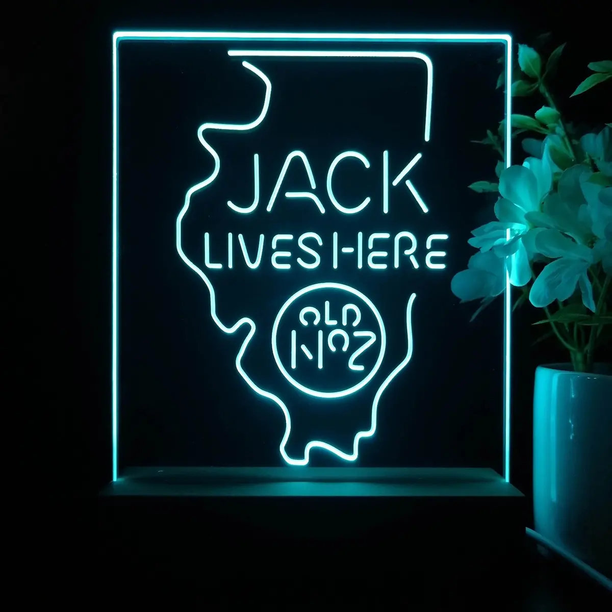 Illinois Jack Lives Here Night Light Neon Pub Bar Lamp 1