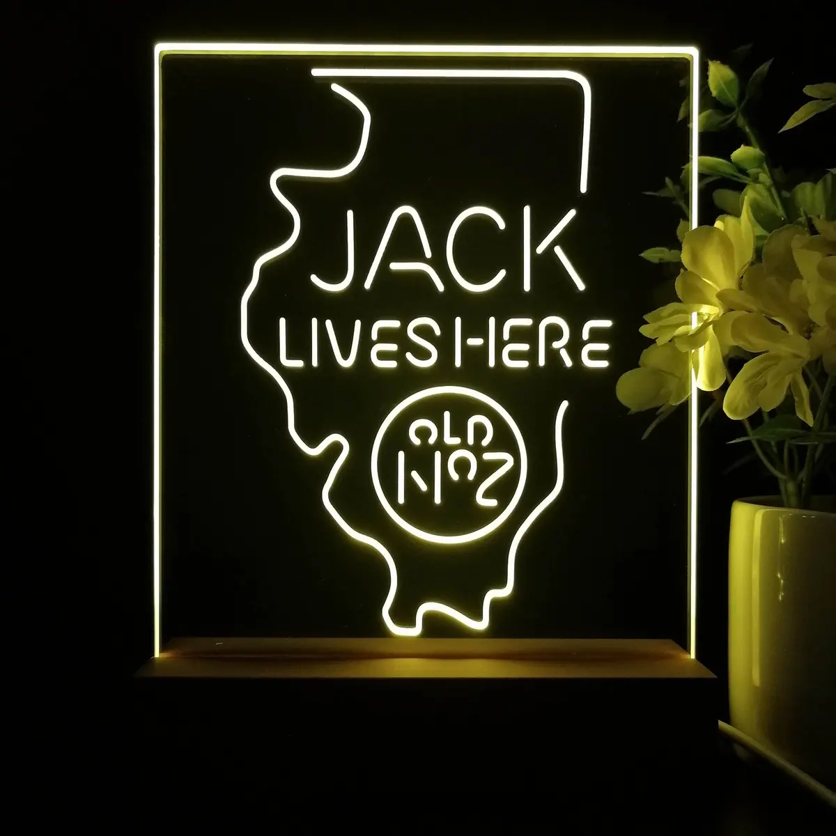 Illinois Jack Lives Here Night Light Neon Pub Bar Lamp 2