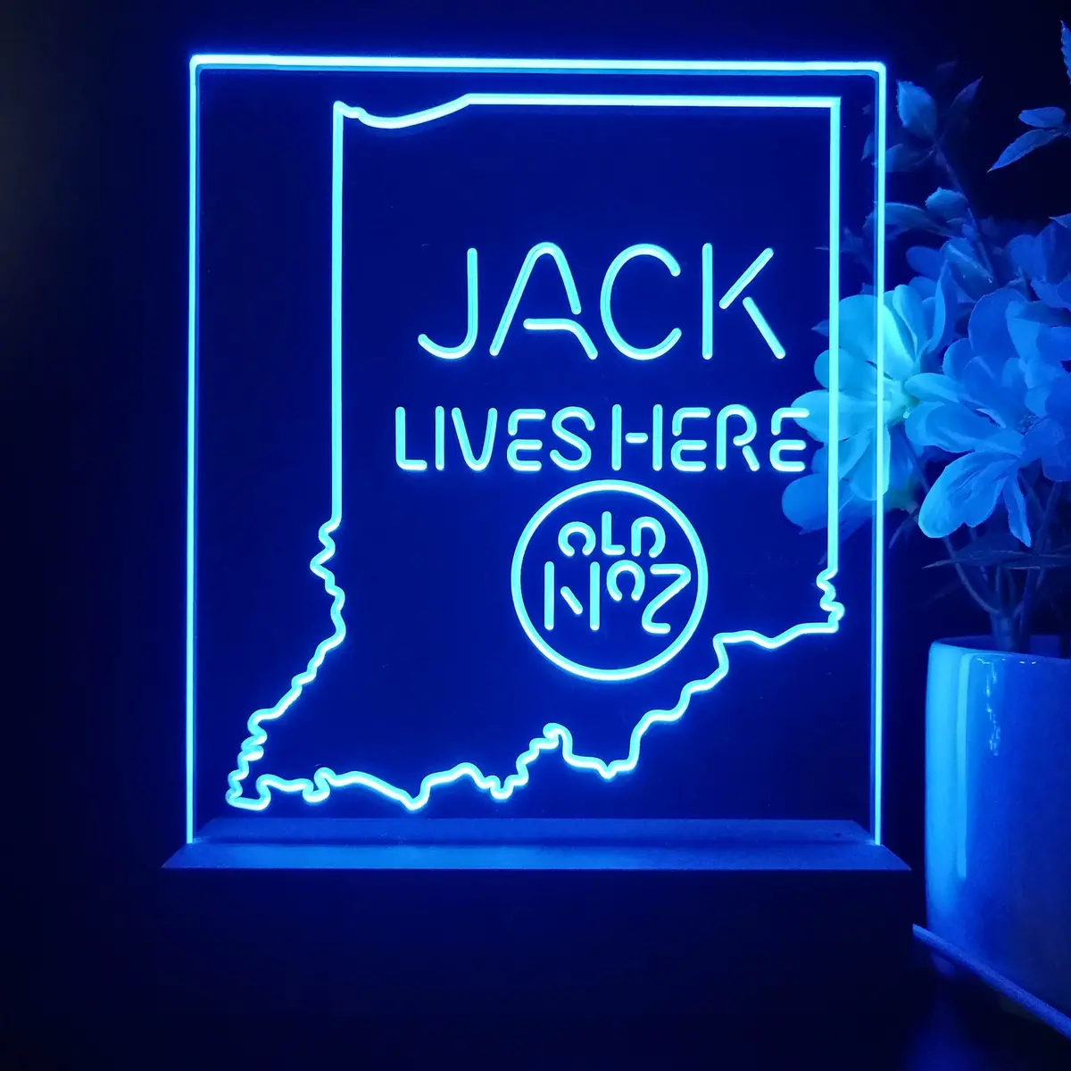 Indiana Jack Lives Here Night Light Neon Pub Bar Lamp 1