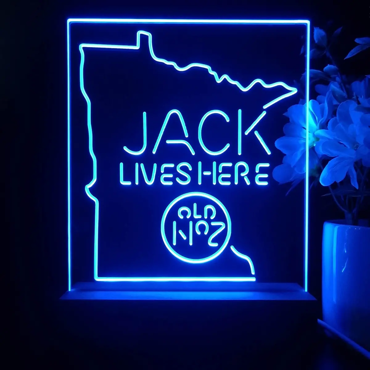 Minnesota Jack Lives Here Night Light Neon Pub Bar Lamp 1