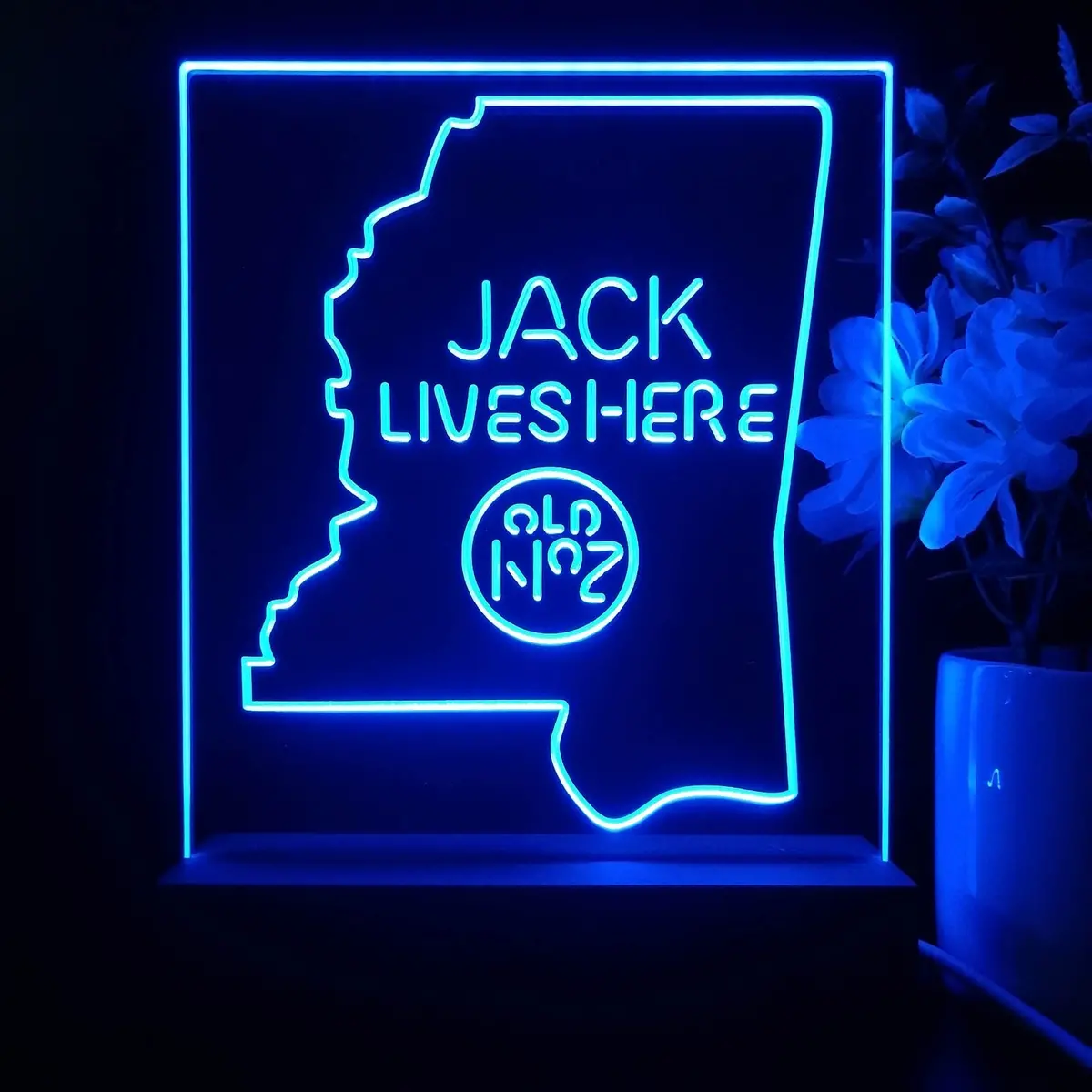 Mississippi Jack Lives Here Night Light Neon Pub Bar Lamp 1