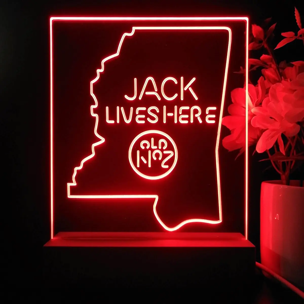 Mississippi Jack Lives Here Night Light Neon Pub Bar Lamp 2