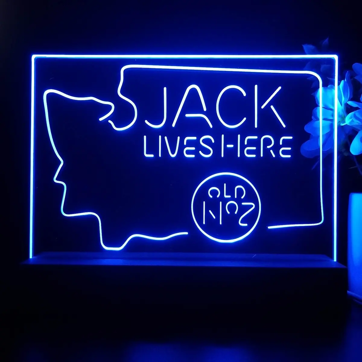 Washington Jack Daniels Neon Sign Pub Bar Lamp 1