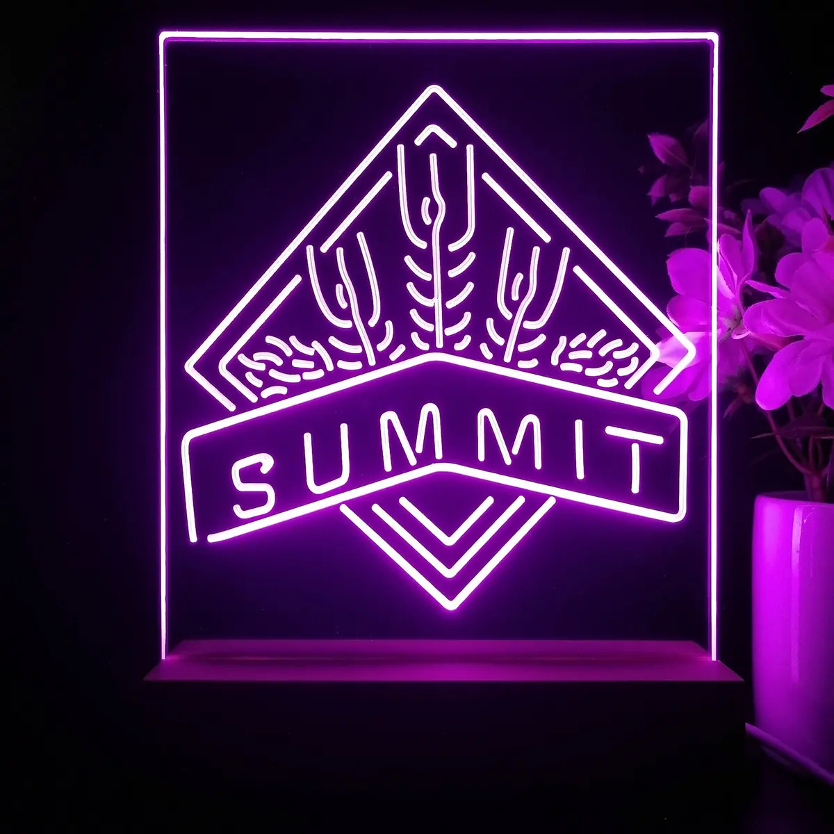 Summit Brewing Co 3D Illusion Night Light Desk Lamp 1