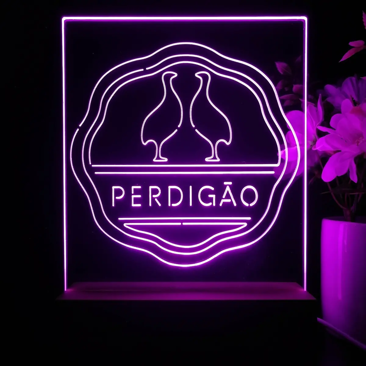 Perdigão 3D Illusion Night Light Desk Lamp 1