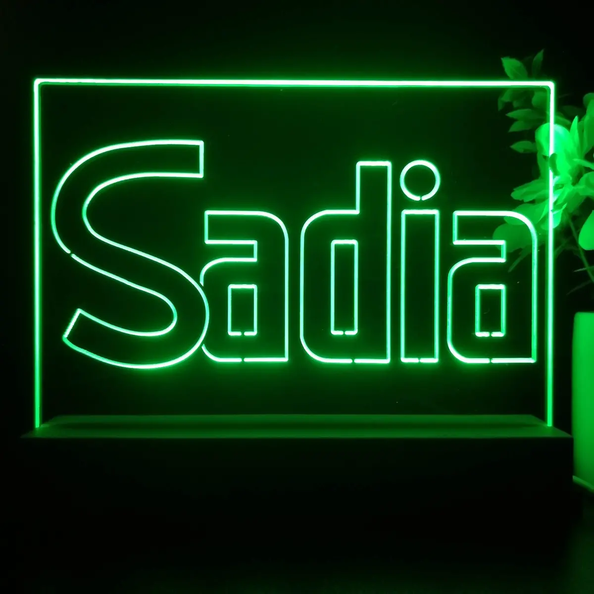 Sadia Neon Sign Pub Bar Lamp 1