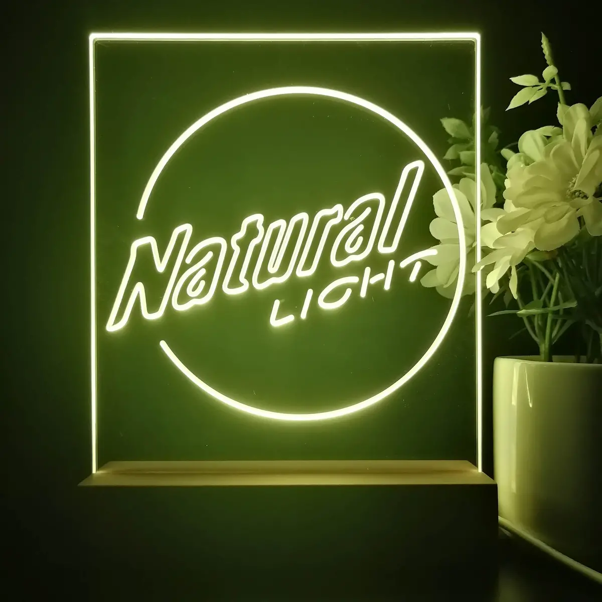 Natural Light Circle Bar 3D Illusion Night Light Desk Lamp 1