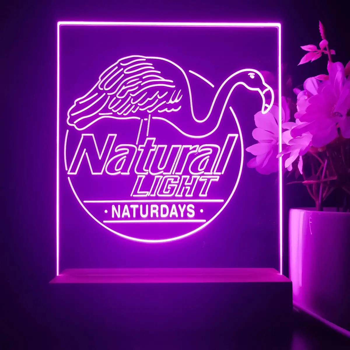 Natural Light Naturdays 3D Illusion Night Light Desk Lamp 1