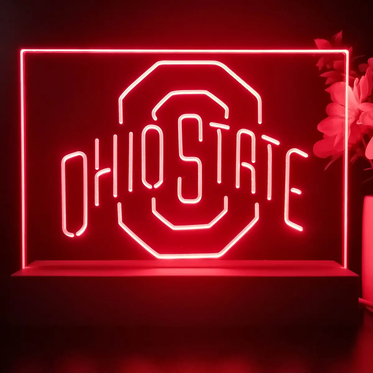 Ohio State Buckeyes 3D Illusion Night Light Desk Lamp 1