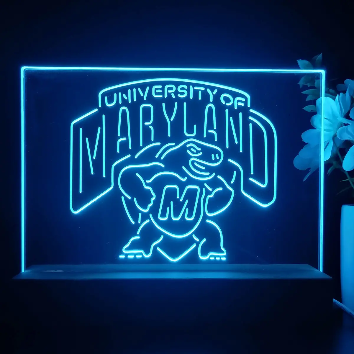 University Of Maryland Terrapins 3D Illusion Night Light Desk Lamp 1