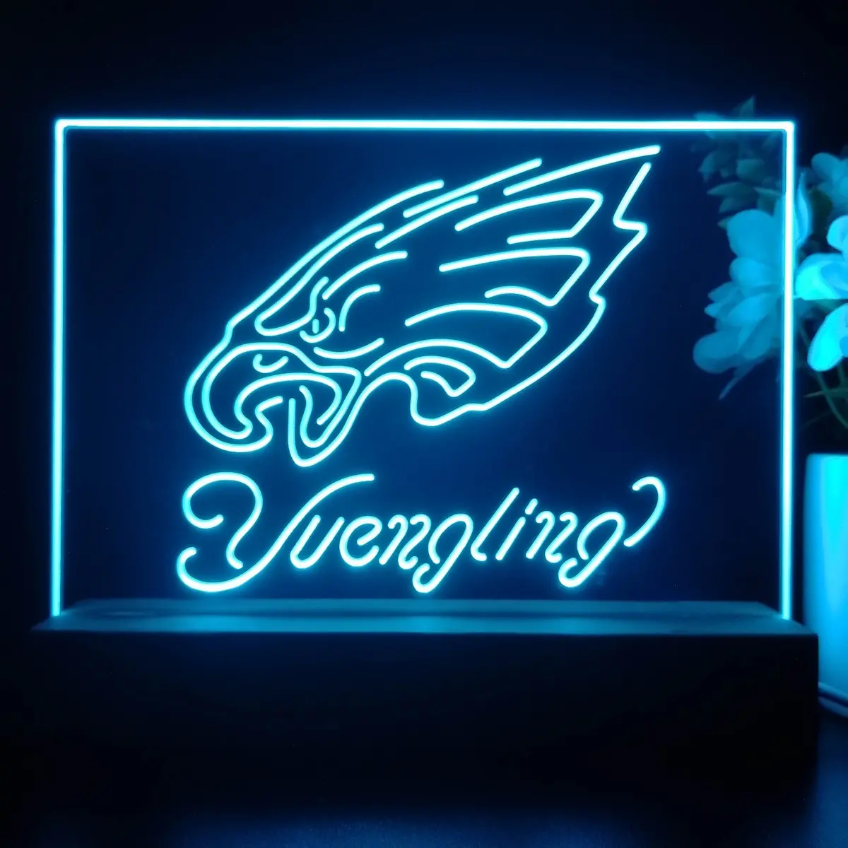 Yuengling Philadelphia Eagle 3D Illusion Night Light Desk Lamp 1