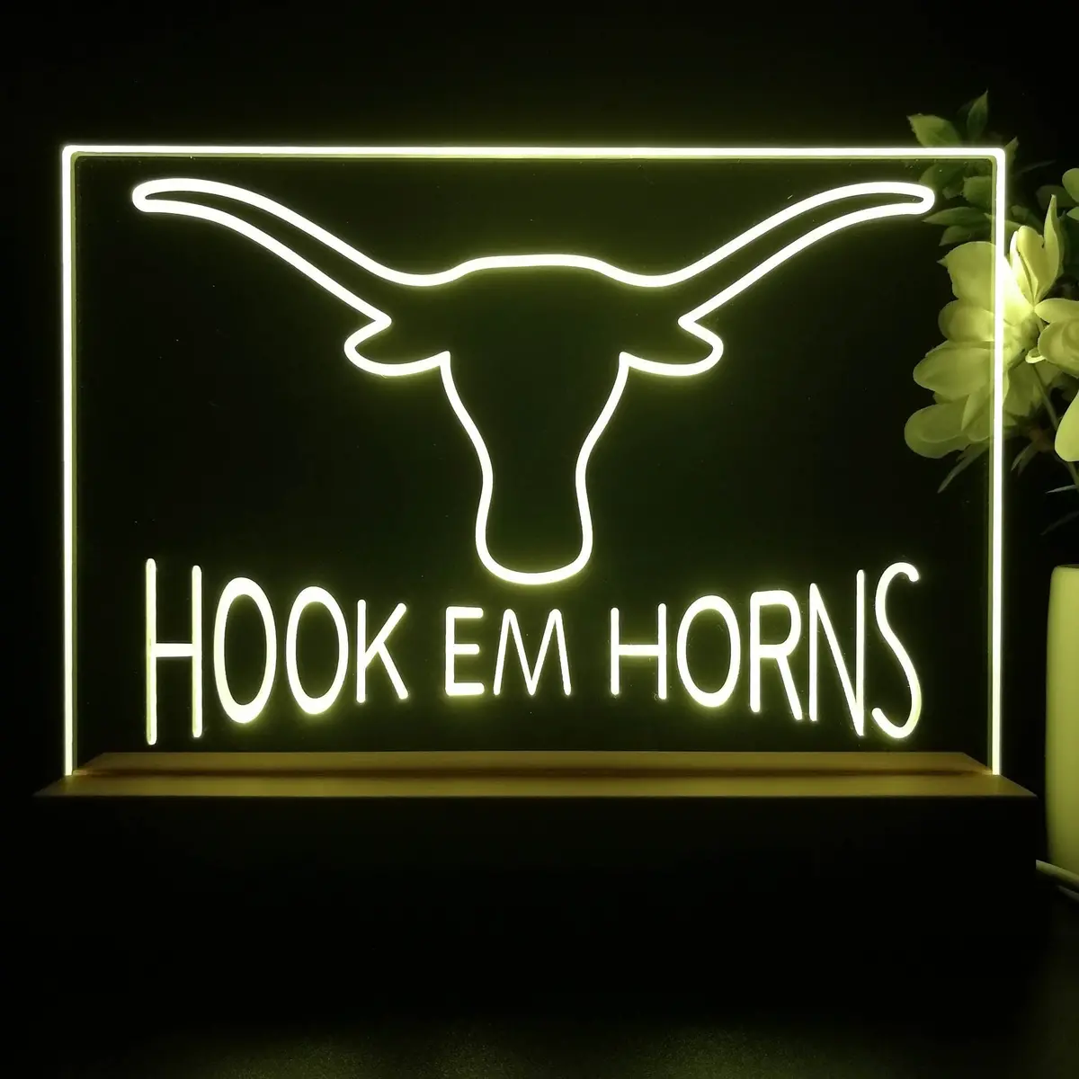 Hook Em Horns University Of Texas 3D Illusion Night Light Desk Lamp 1
