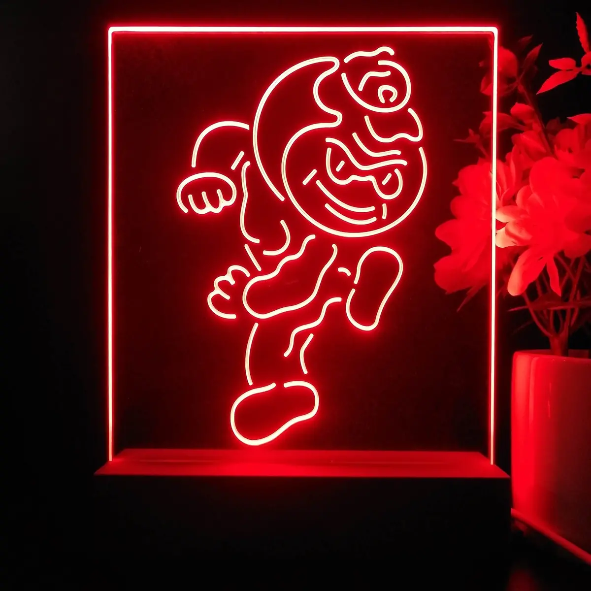 Ohio State Buckeyes Night Light Neon Pub Bar Lamp 1