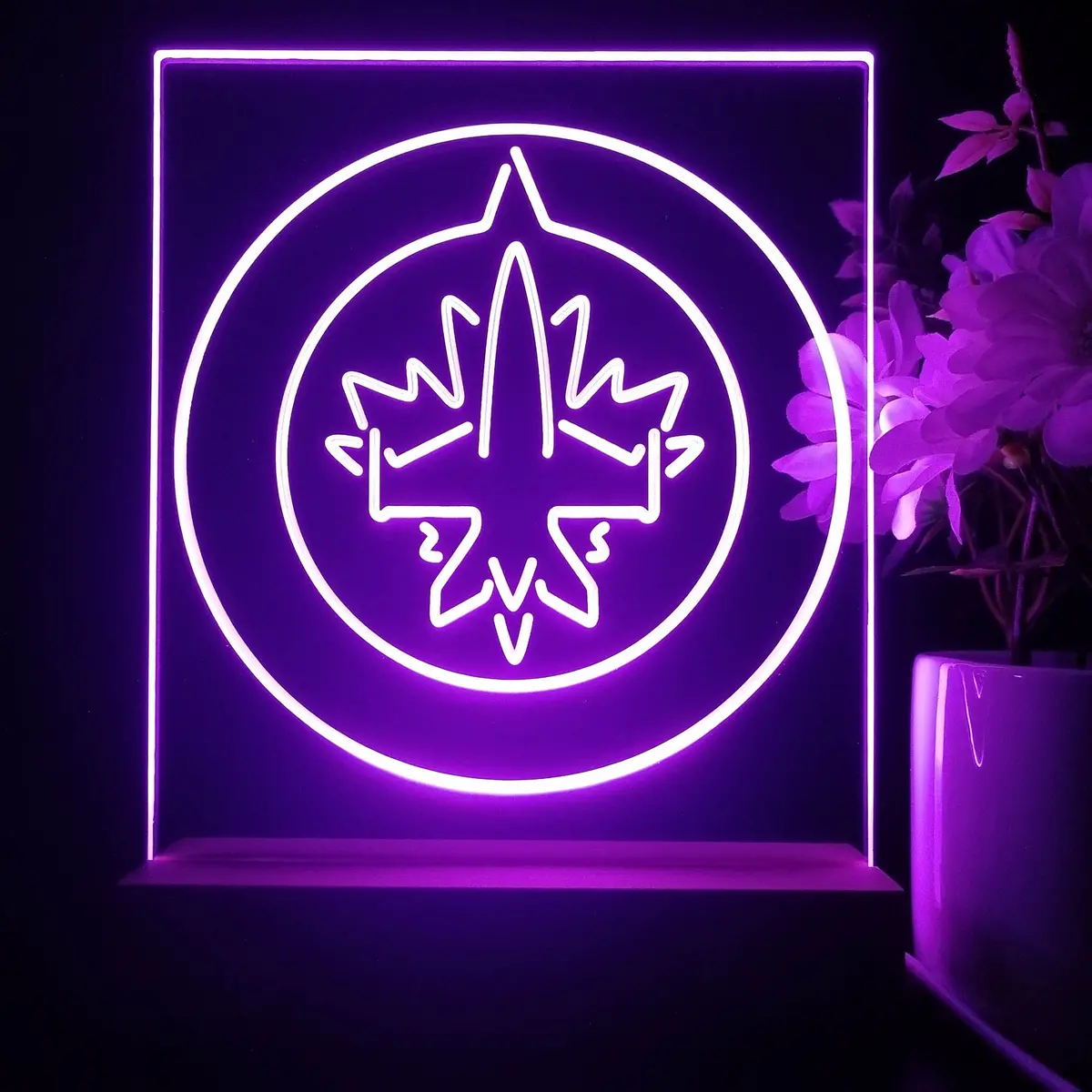 Winnipeg Jets 3D Illusion Night Light Desk Lamp 1