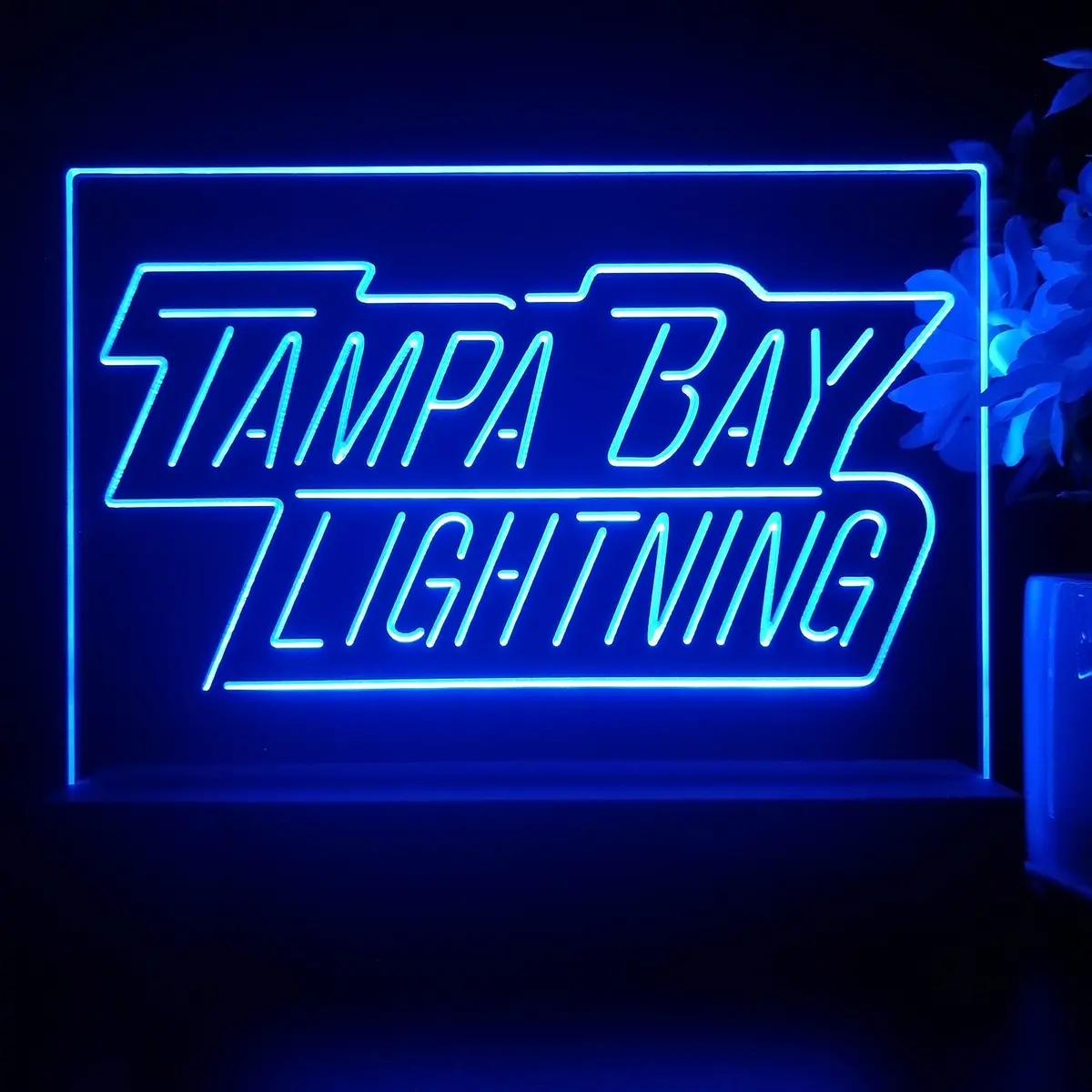 Tampa Bay Lightning Night Light Pub Bar Lamp 2