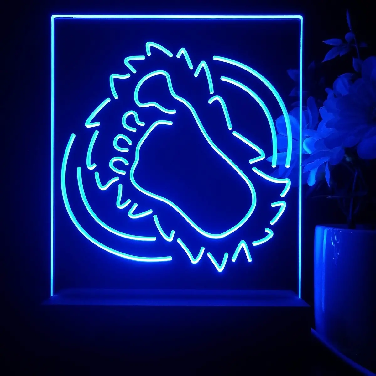 Colorados Avalanches 3D Illusion Night Light Desk Lamp 2