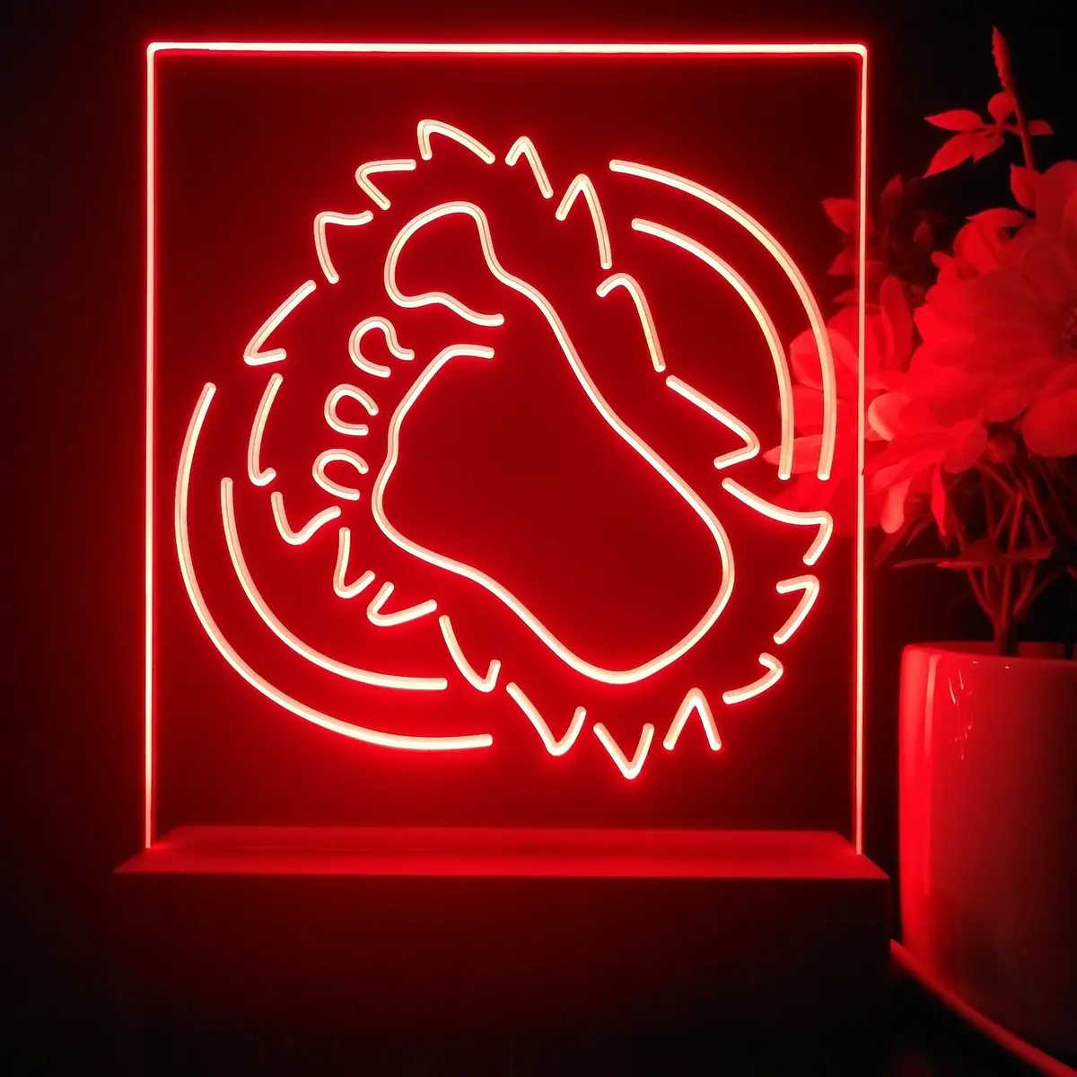 Colorados Avalanches 3D Illusion Night Light Desk Lamp 1