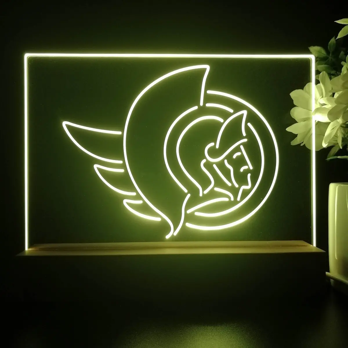 Ottawa Senators Night Light Pub Bar Lamp 1