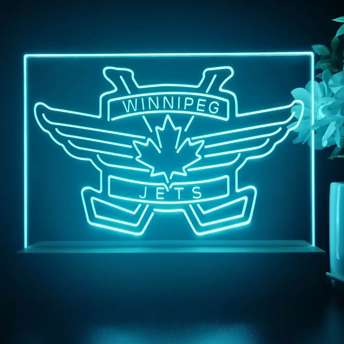 Winnipeg Jets Night Light Pub Bar Lamp 2