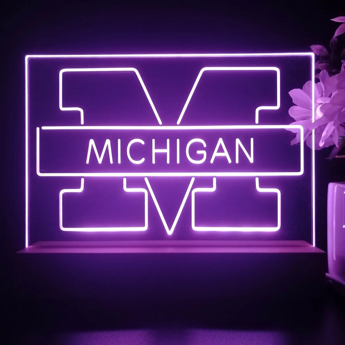 Michigan Wolverines Night Light Pub Bar Lamp 1