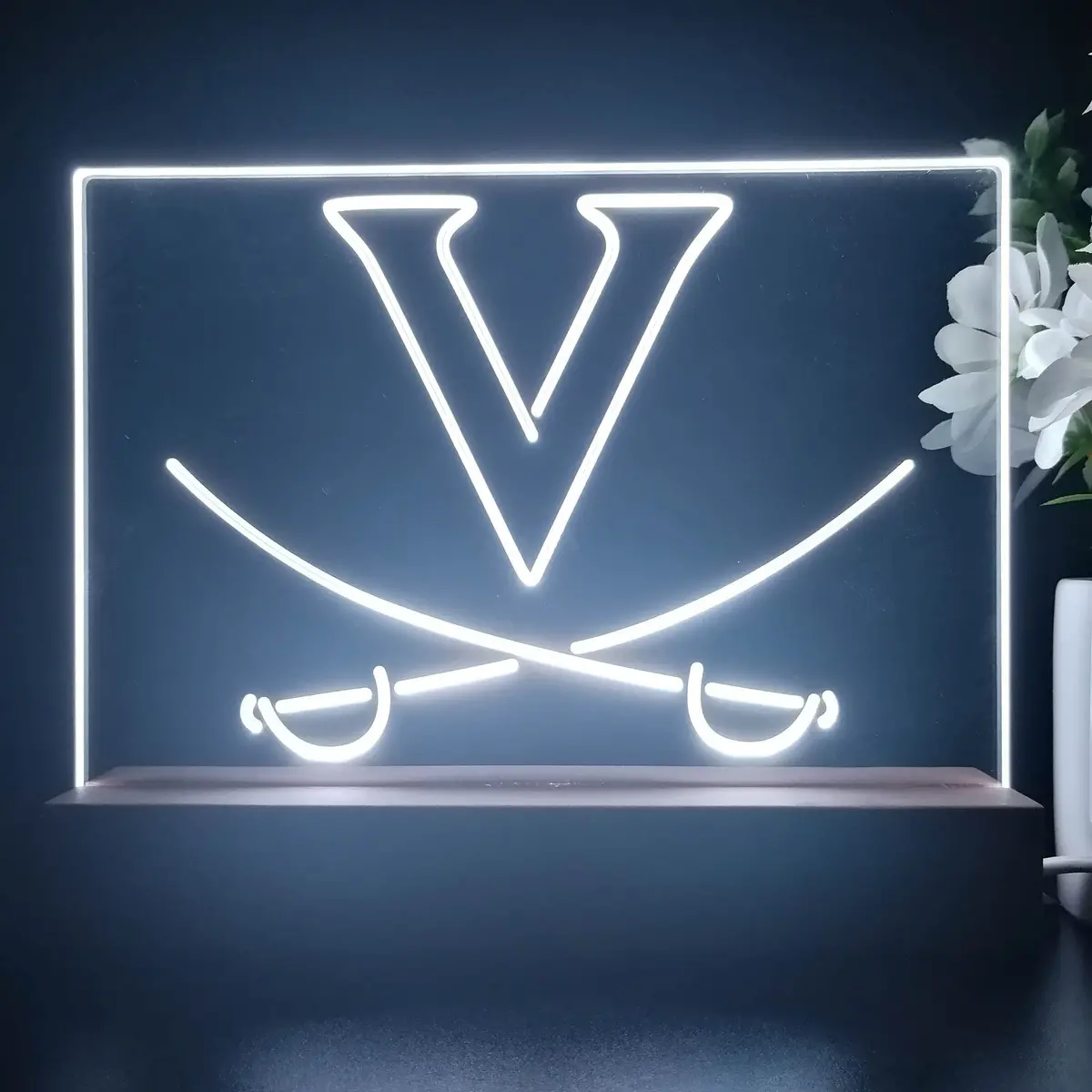 Virginia Cavaliers Night Light Pub Bar Lamp 1