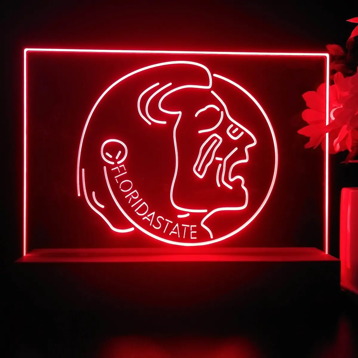 Florida State Seminoles Night Light Pub Bar Lamp 1