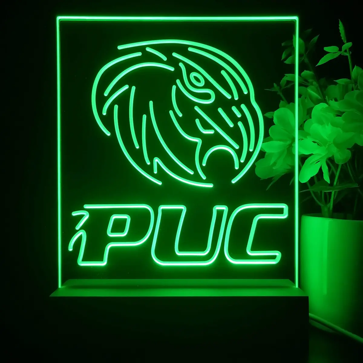 Purdue Calumet Peregrines Neon Sign Pub Bar Lamp 2