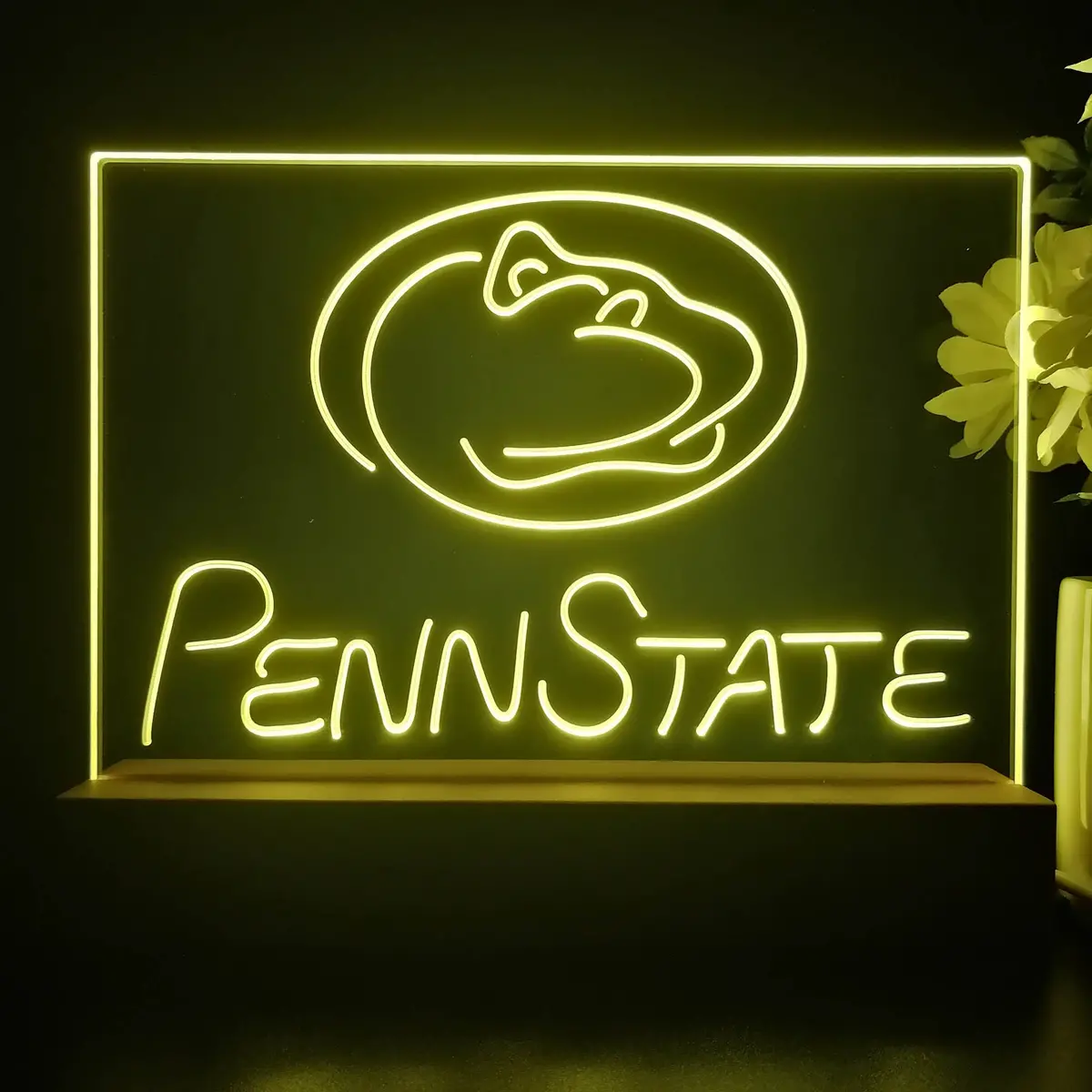 Penn State Nittany Lions Night Light Pub Bar Lamp 2