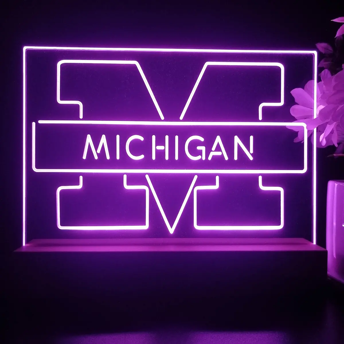 Michigan Wolverines Night Light Pub Bar Lamp 1