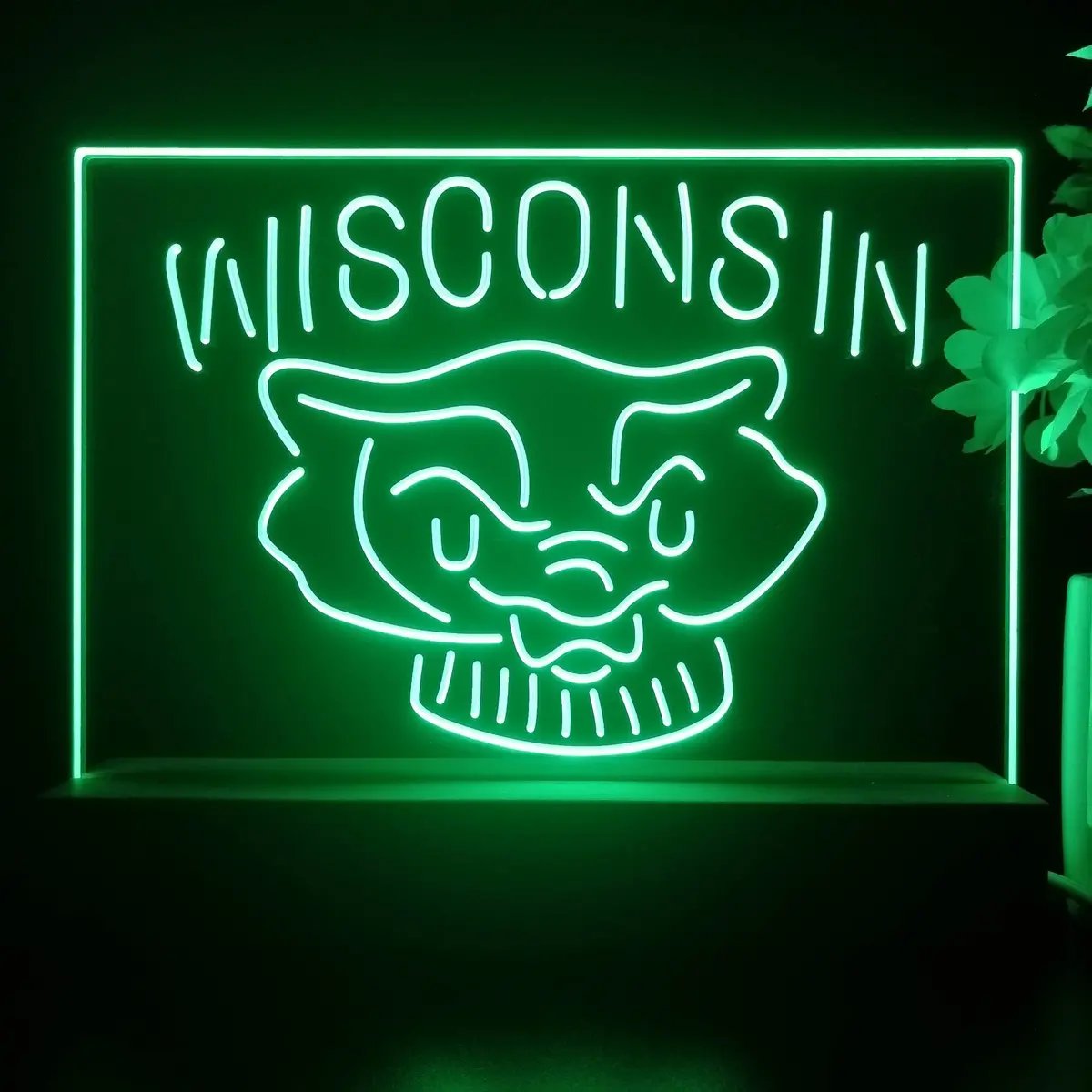 Wisconsin Badgers Night Light Pub Bar Lamp 1