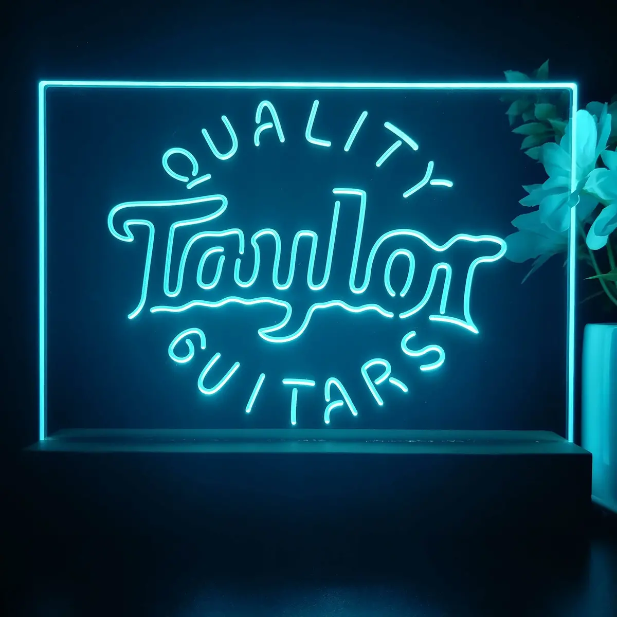 Taylor Guitar Music 3D Illusion Night Light Desk Lamp 1