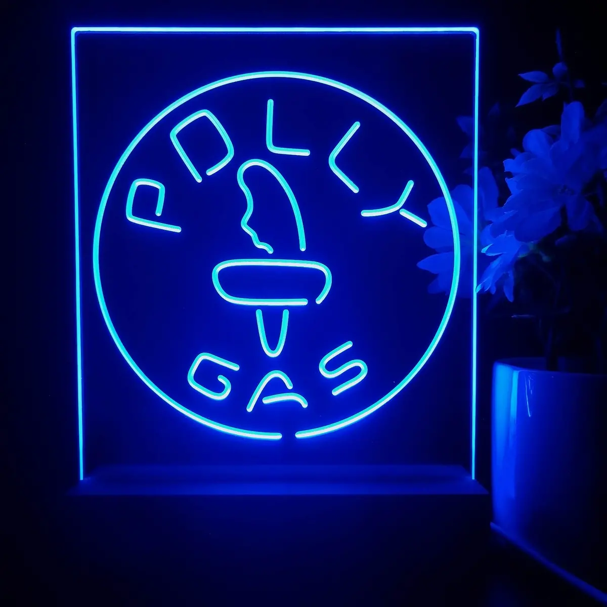 Polly Gas Man Cave 3D Illusion Night Light Desk Lamp 1