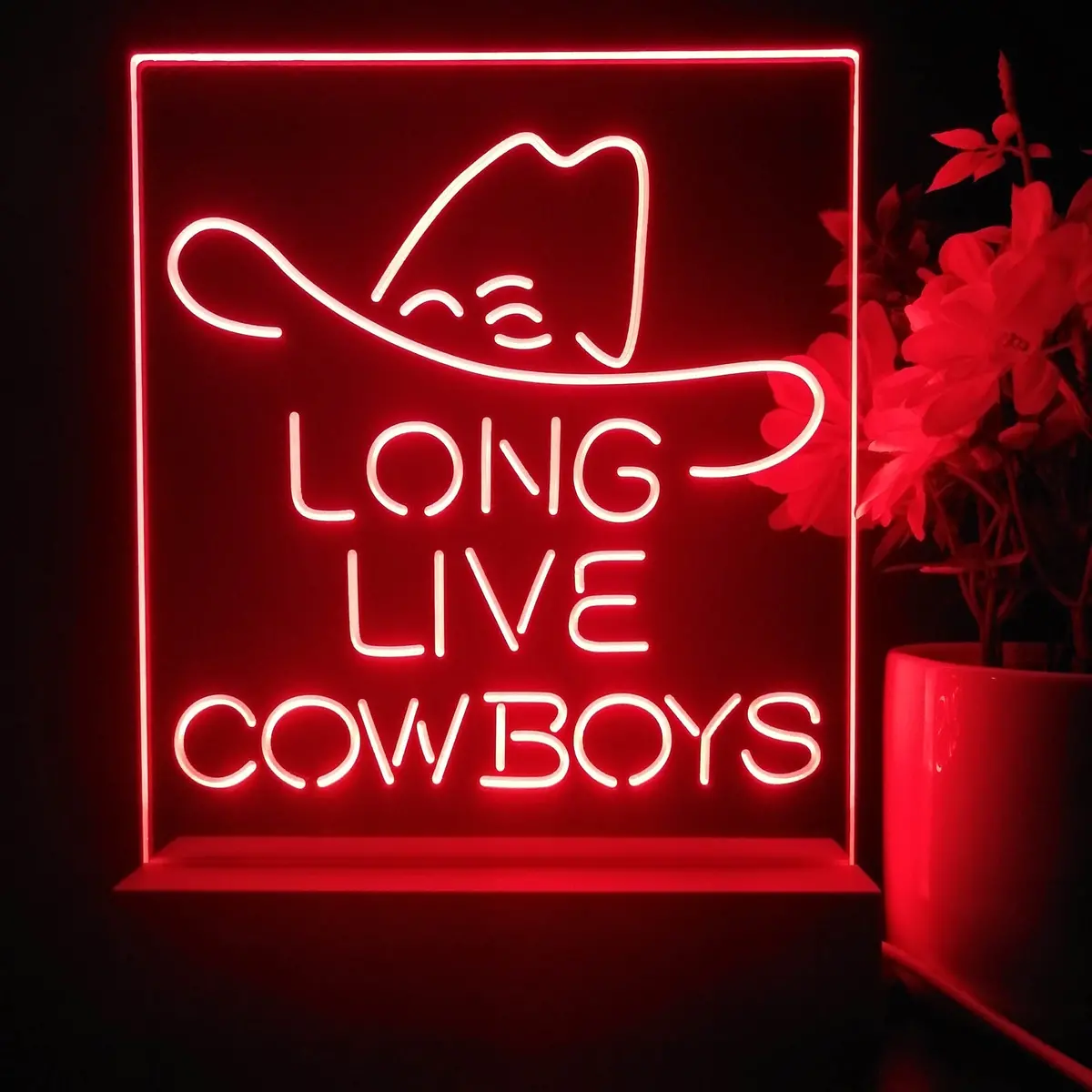 Long Live Cowboys Wranglers 3D Illusion Night Light Desk Lamp 1