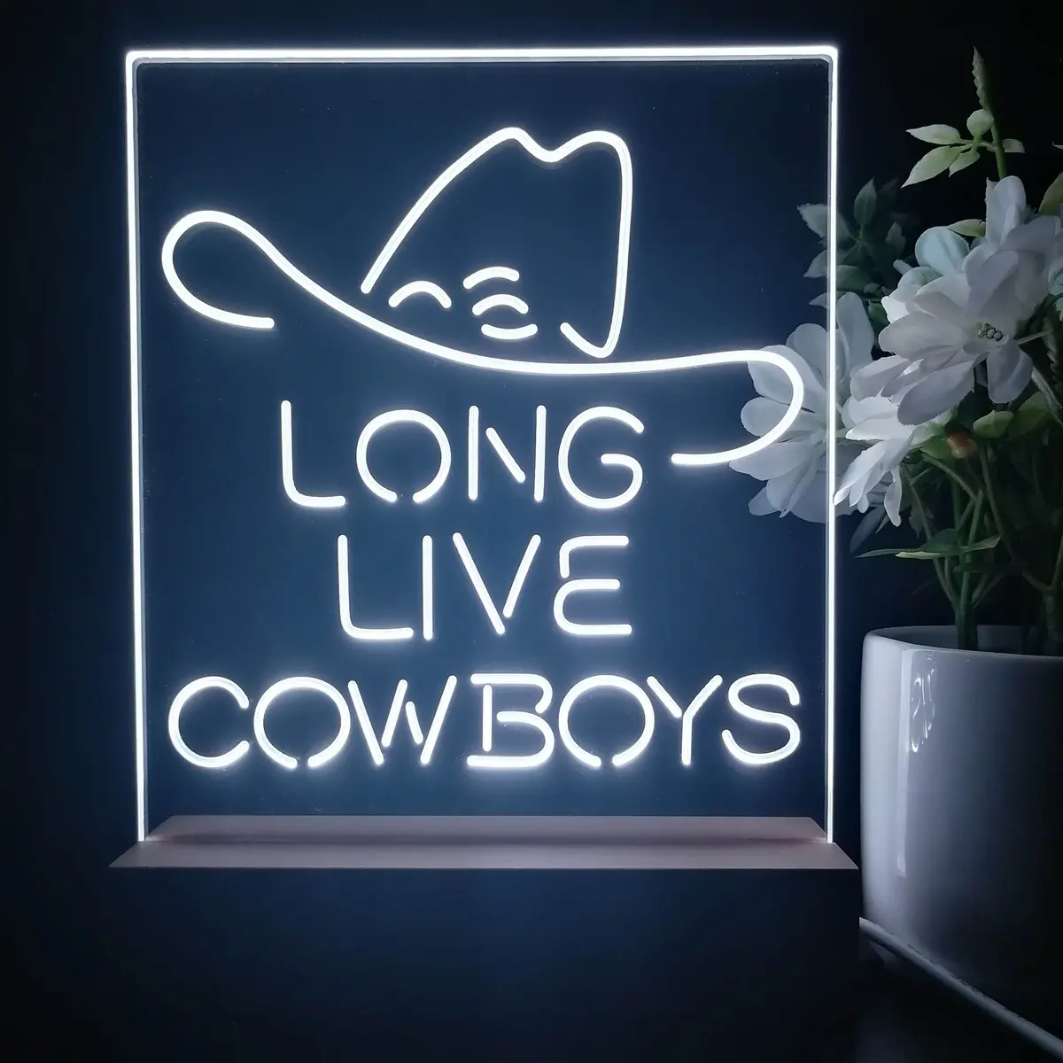 Long Live Cowboys Wranglers 3D Illusion Night Light Desk Lamp 2